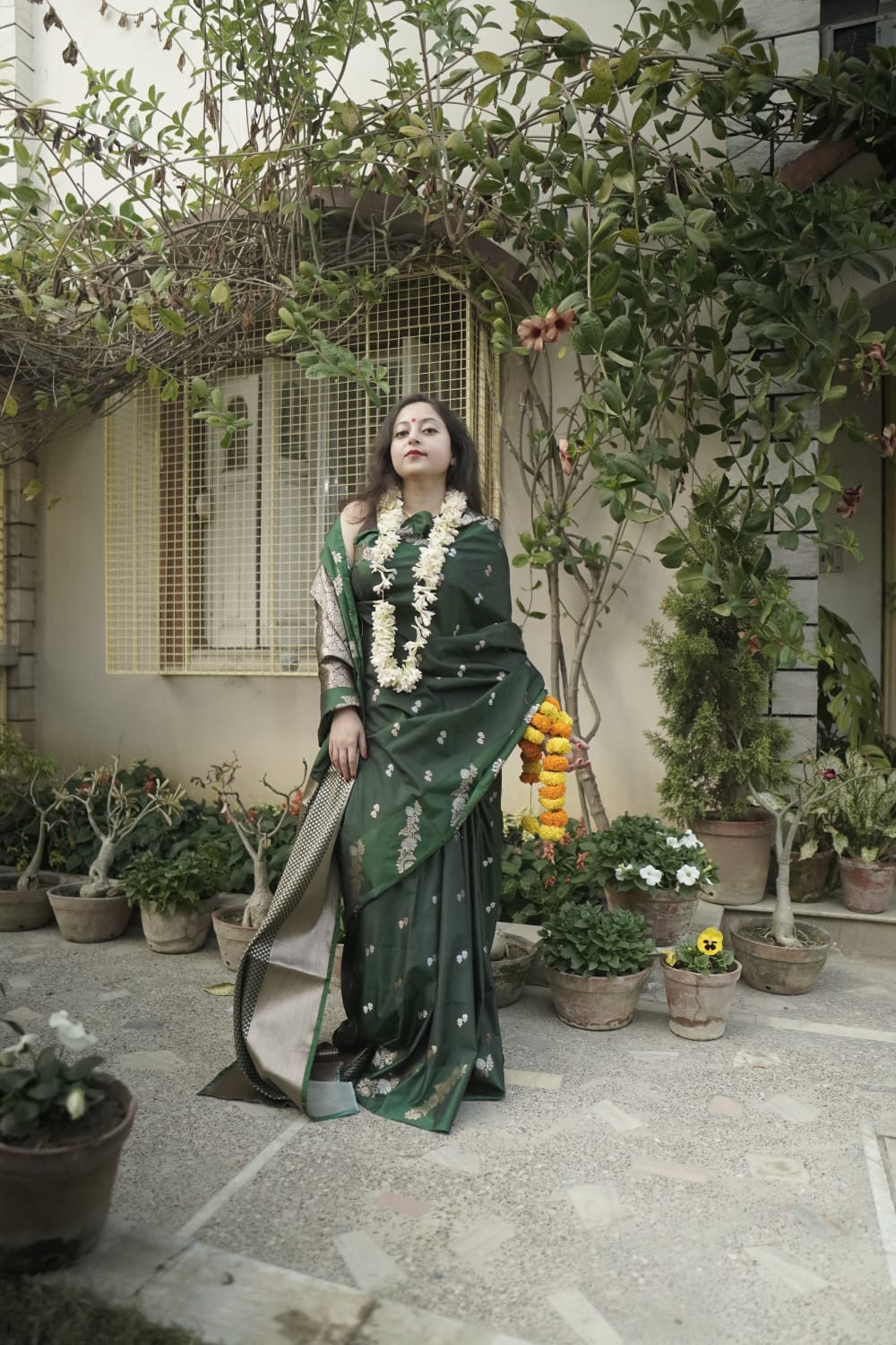 Raw mango benarasi silk saree.