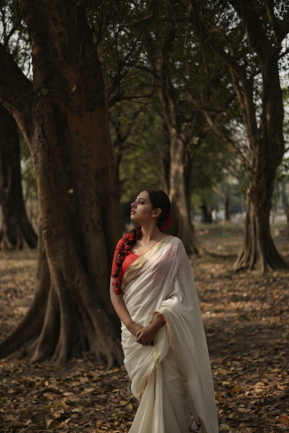 Mulmul offwhite cotton saree.