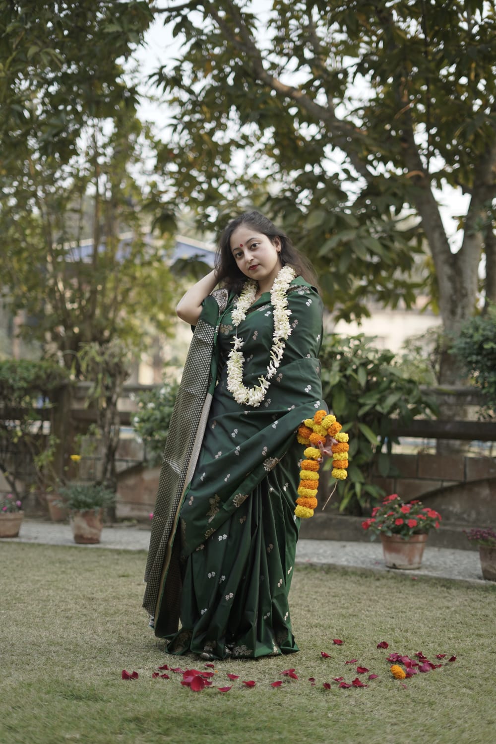 Raw mango benarasi silk saree.