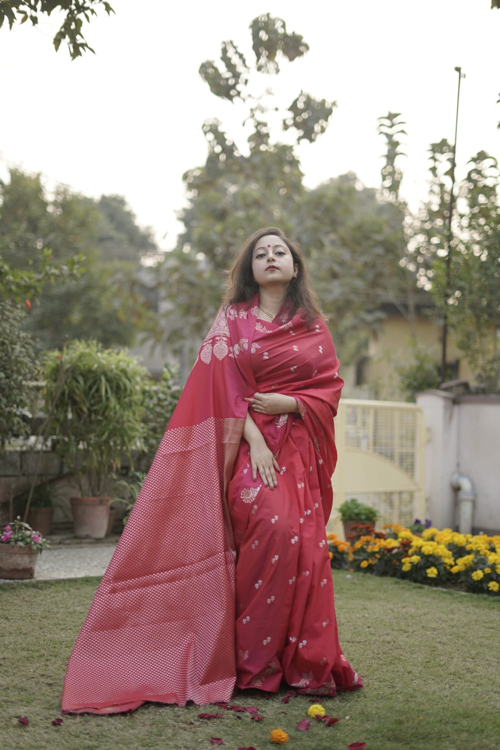 Raw mango benarasi silk saree.
